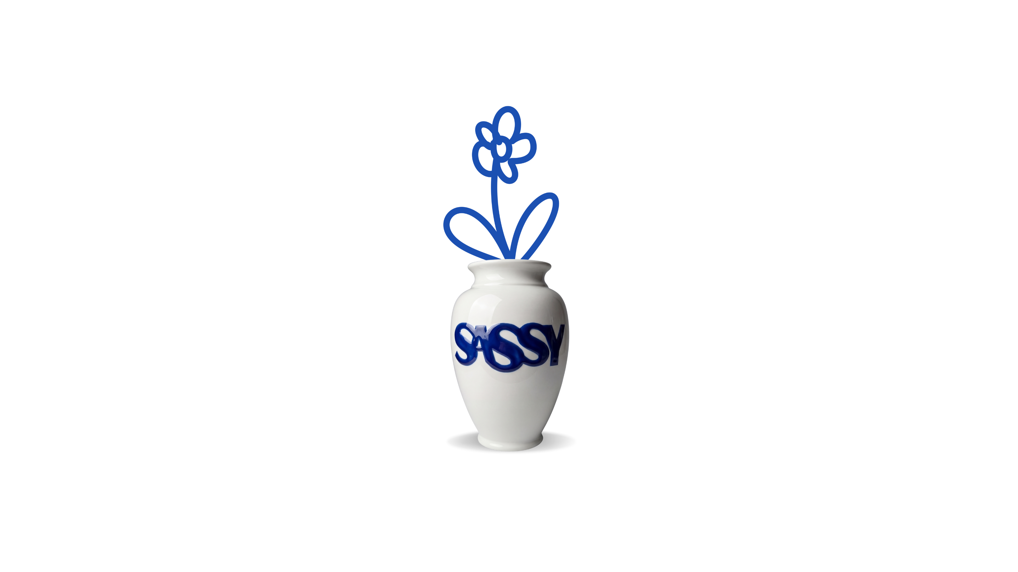 Products – SASSY
